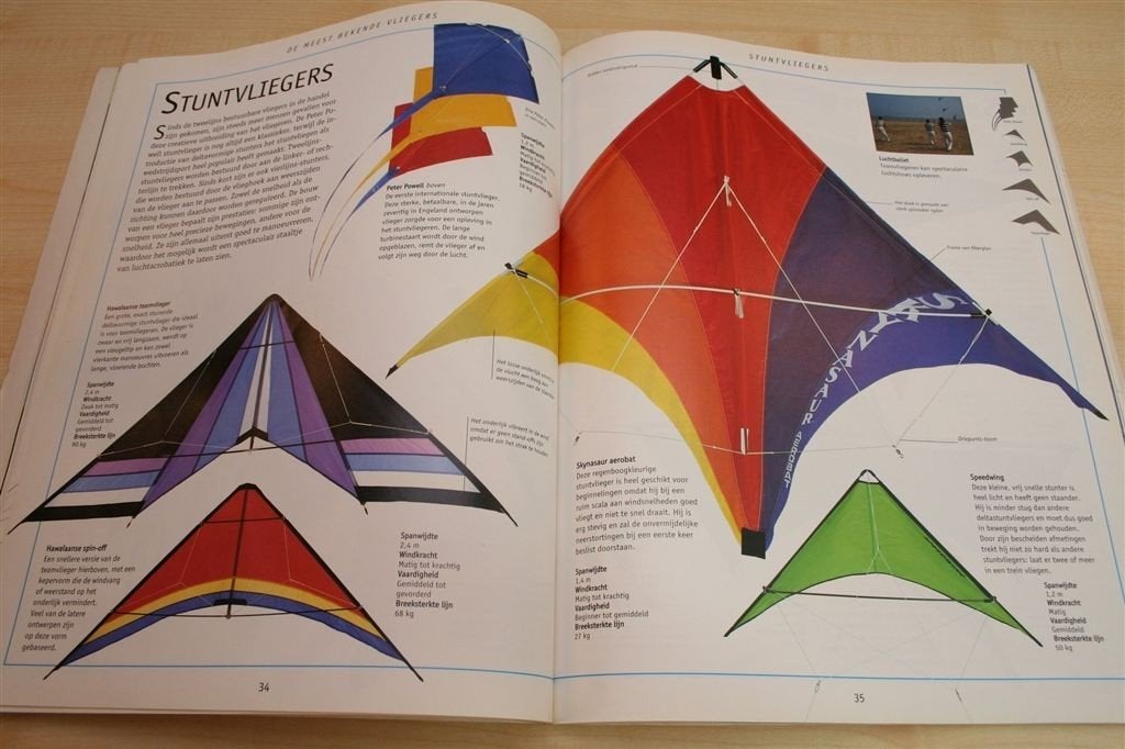 Het Grote Vliegerboek — Met Patronen & Bouwplannen, Ophalen of Verzenden, Gelezen, Borduren en Naaien