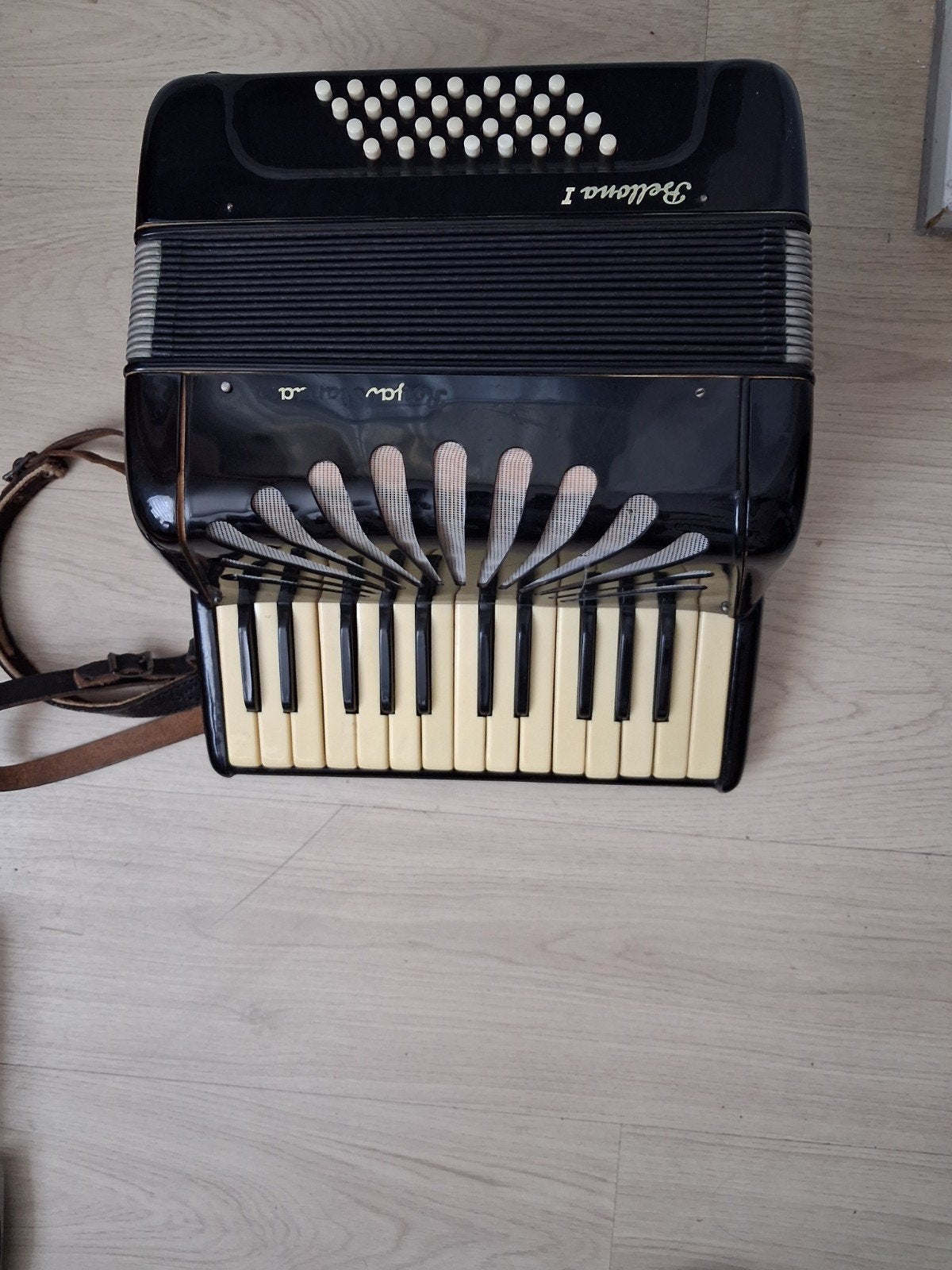 accordion wie heeft er intresse in, Ophalen of Verzenden, Overige merken