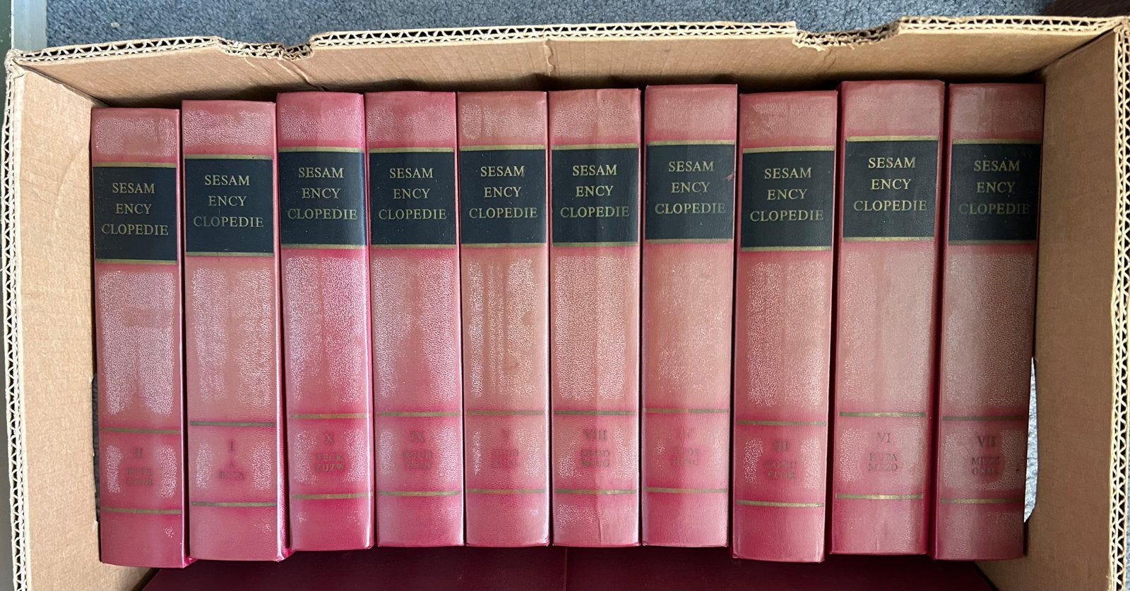 Sesam encyclopedie, Boeken, Encyclopedieën, Ophalen of Verzenden, Zo goed als nieuw, Algemeen