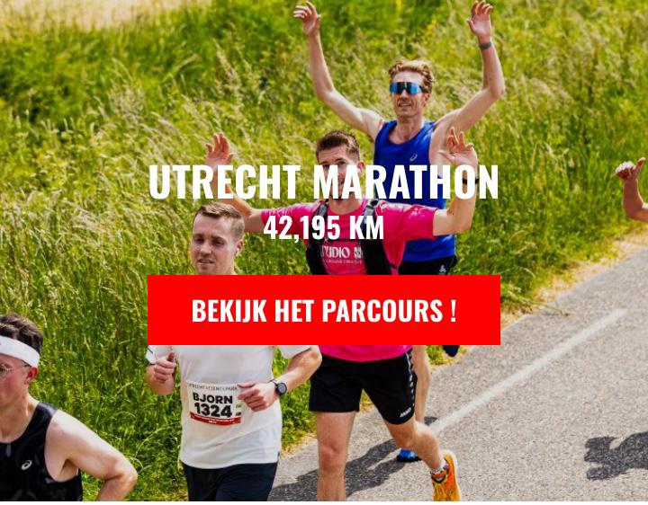 Utrecht science park Marathon, Eén persoon, Ticket of Toegangskaart