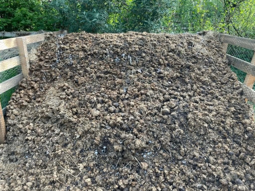Gratis compost/paardenmest aangeboden Leende NB, Tuin en Terras, Aarde en Mest, Compost, Ophalen