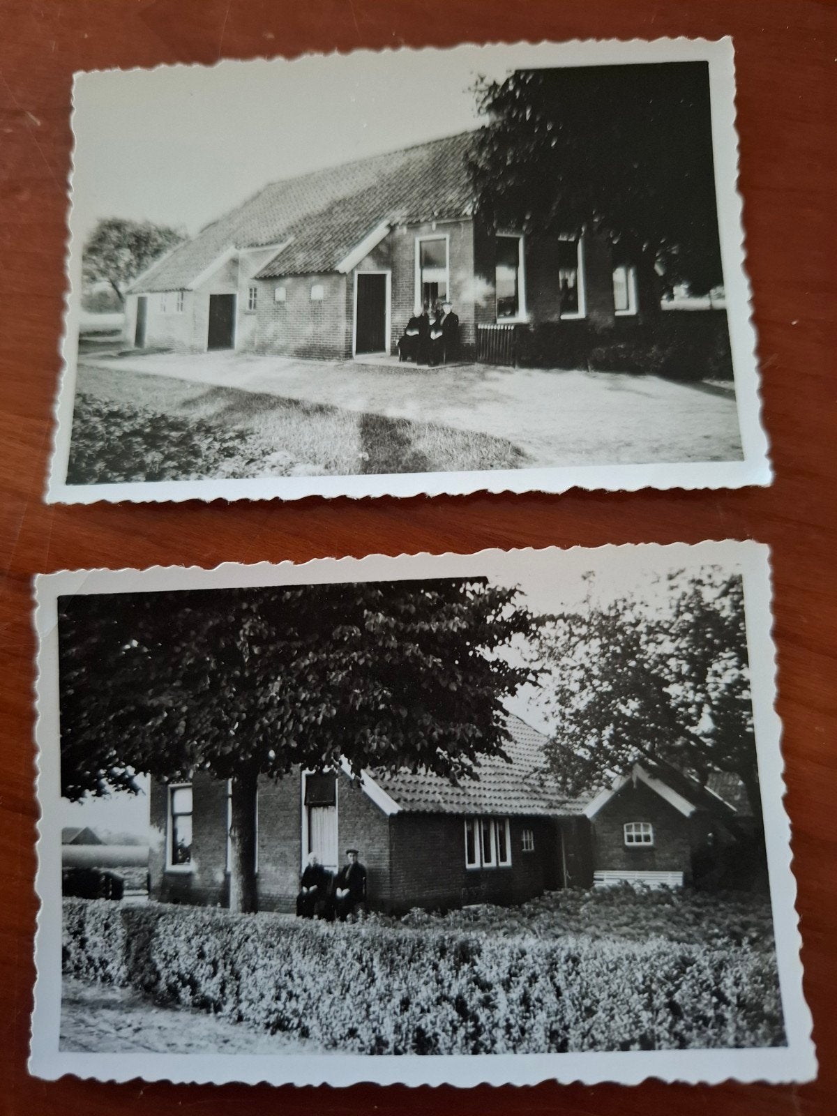 Oude foto's van boerderij met bewoners, jaren '50, Foto, Ophalen of Verzenden, Zo goed als nieuw, 1940 tot 1960