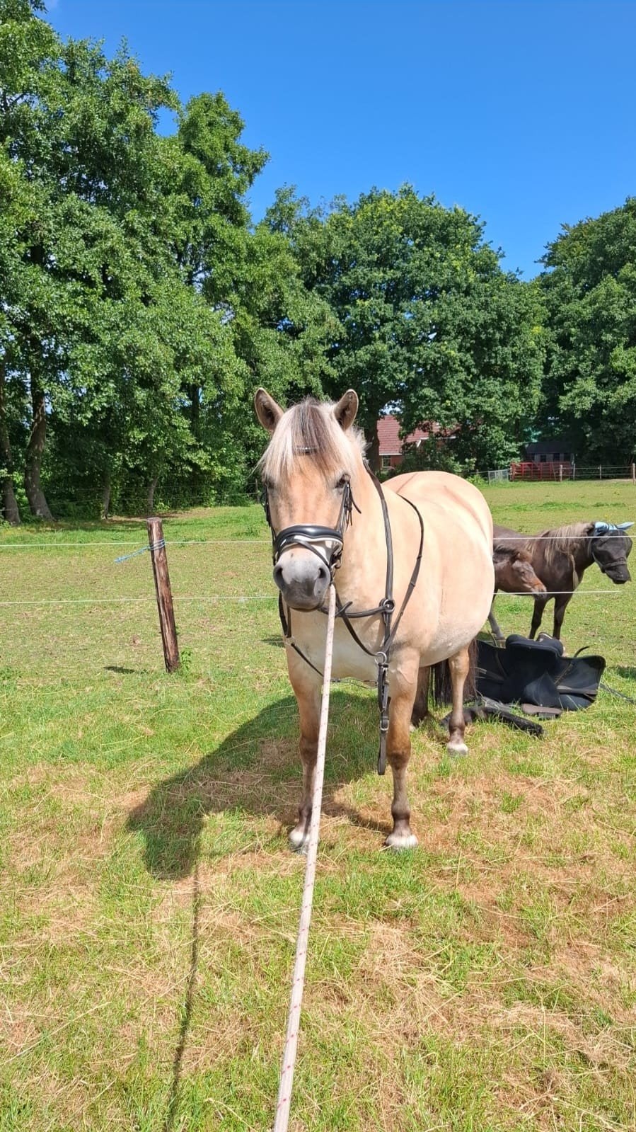 Bijrijder verzorger gezocht, Ophalen of Verzenden