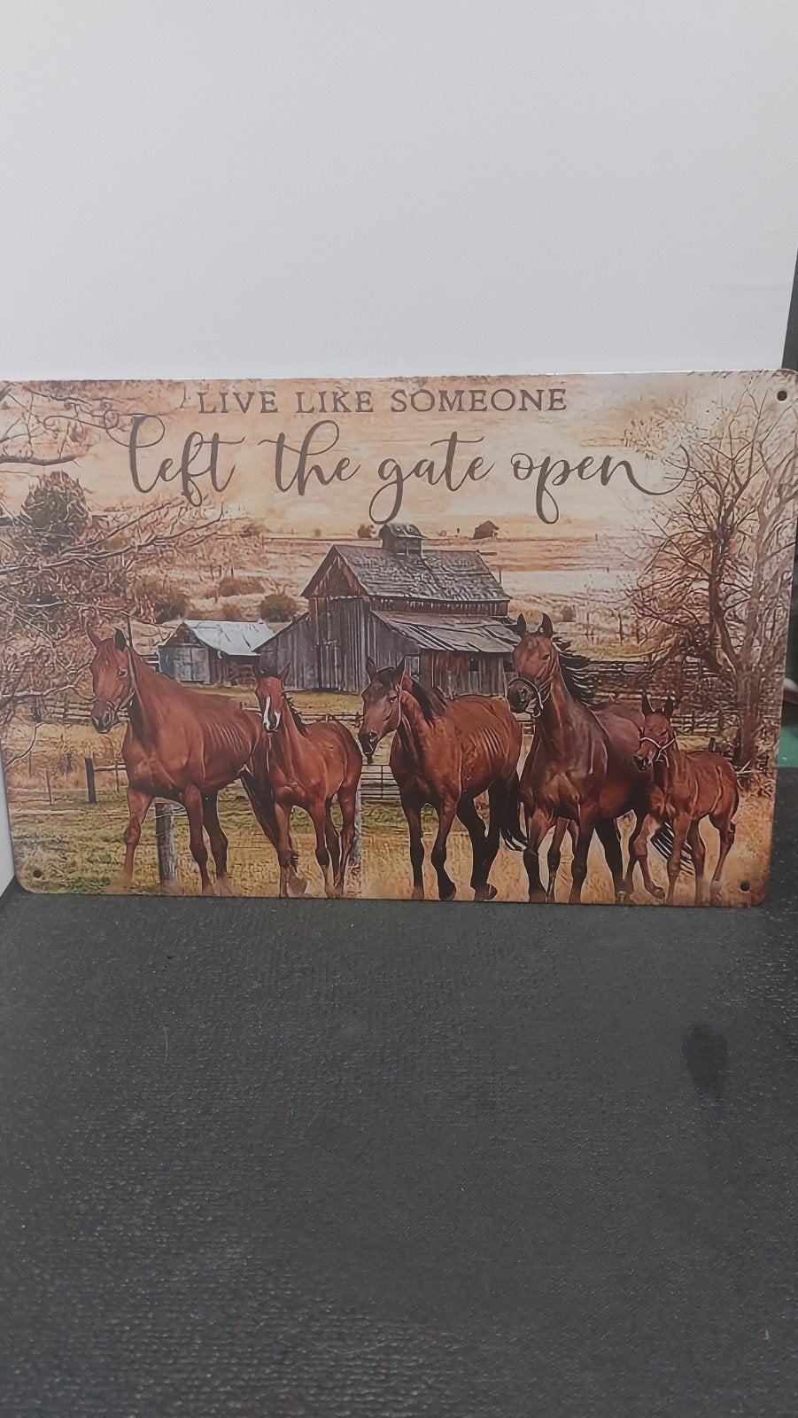 Wandbord met paarden en inspirerende tekst 20x30cm, Metaal, 30 cm, Industrieel, 20 cm