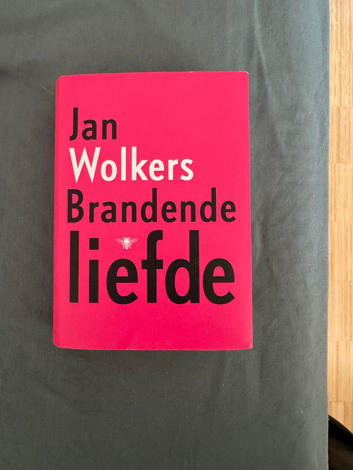 Jan Wolkers - Brandende liefde (Boek), Ophalen of Verzenden, Gelezen, Nederland