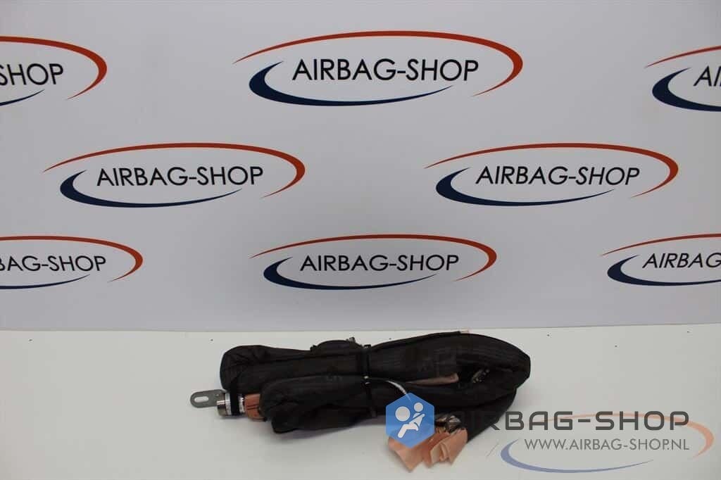Citroen C3 Dakairbag Hemel Airbag Links 9677506980, Gebruikt, -, Ophalen of Verzenden, -