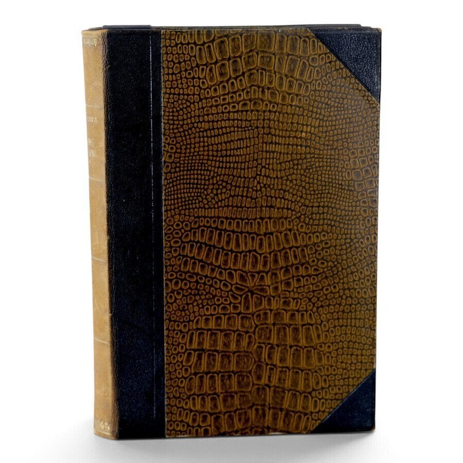 boekenserie 'Uit Frieslands volksleven' Waling Dijkstra 1895, Antiek en Kunst, Ophalen of Verzenden
