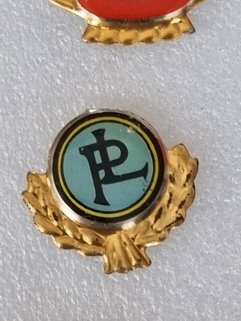 Speldje Panhard, Ophalen of Verzenden, Gebruikt, Overige onderwerpen