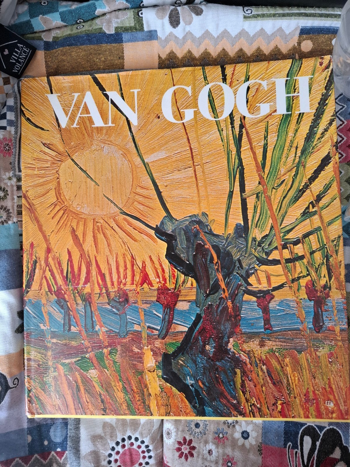 Prachtig dik Van Gogh boek, Ophalen, Zo goed als nieuw