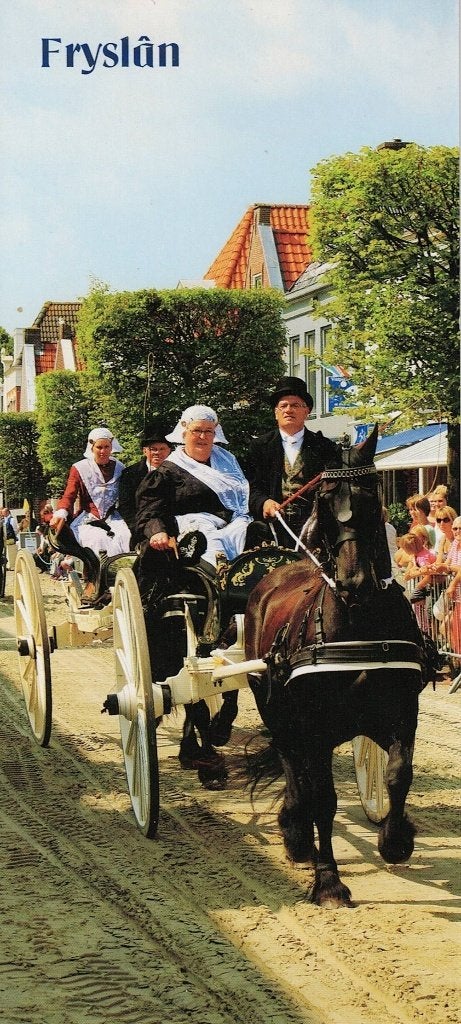 Fries Paard en de mensen zijn in Fries Klederdracht 431, Ophalen of Verzenden, 1980 tot heden, Ongelopen, Paard