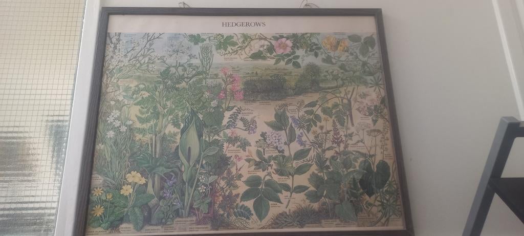 Hedgerows, Ophalen, Natuur en Biologie
