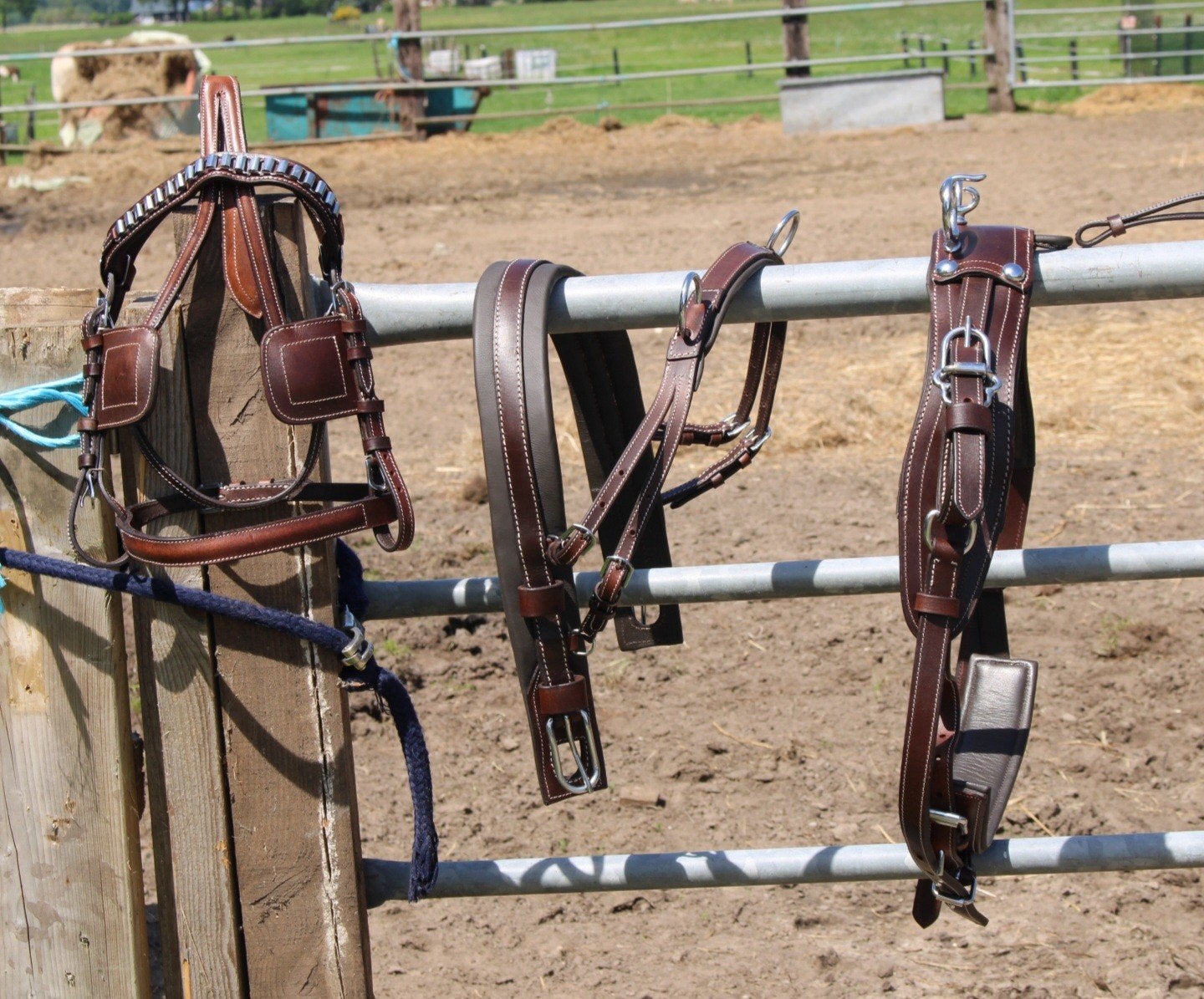 te koop shetlander en mini shetlander mentuig bruin nieuw, Dieren en Toebehoren, ., Nieuw, Ophalen of Verzenden, .