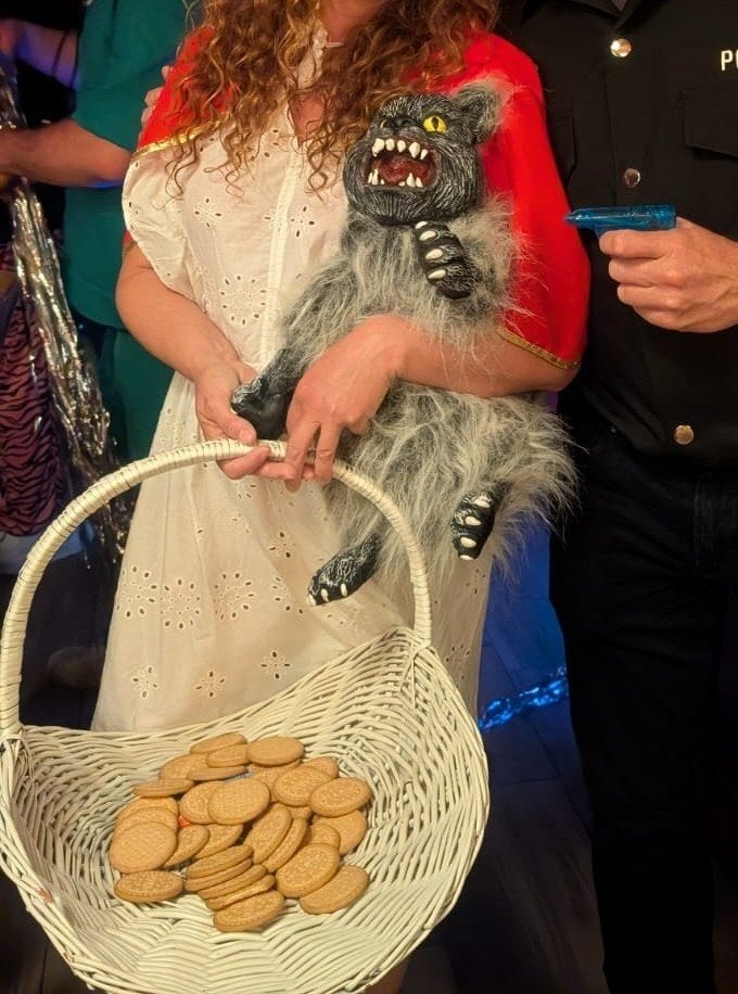 Roodkapje outfit te huur, Ophalen, Zo goed als nieuw, Carnaval