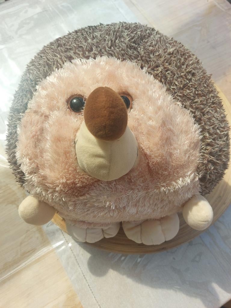 Schattige egel knuffel - handenwarmer, Overige merken, Overige karakters, Overige typen, Ophalen of Verzenden