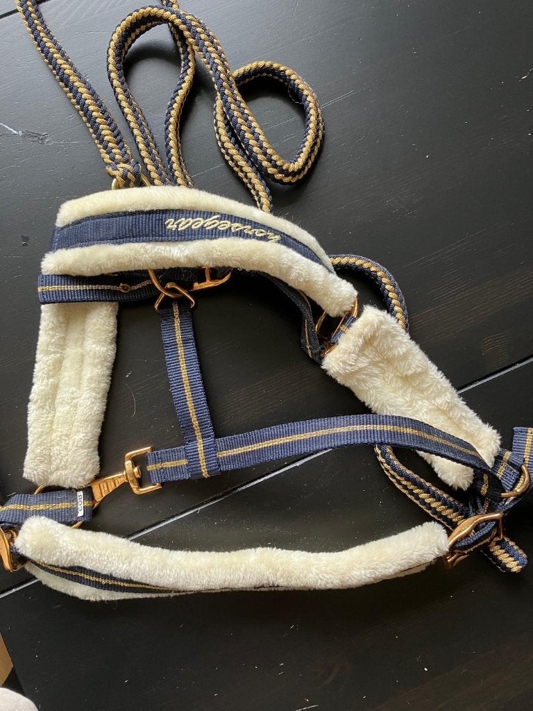 Halster maat COB met halstertouw - blauw/goud, Dieren en Toebehoren, Recreatie, Symmetrisch, Ophalen of Verzenden, Zo goed als nieuw