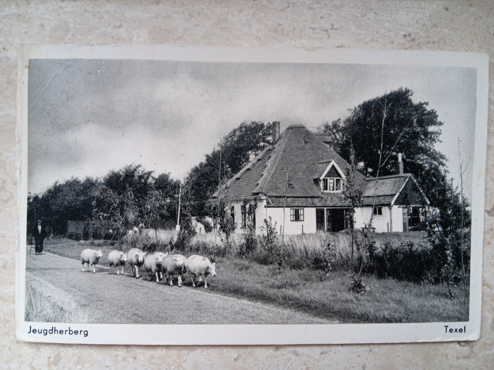 Texel Jeugdherberg met Schapen, Verzenden, Gelopen, Waddeneilanden