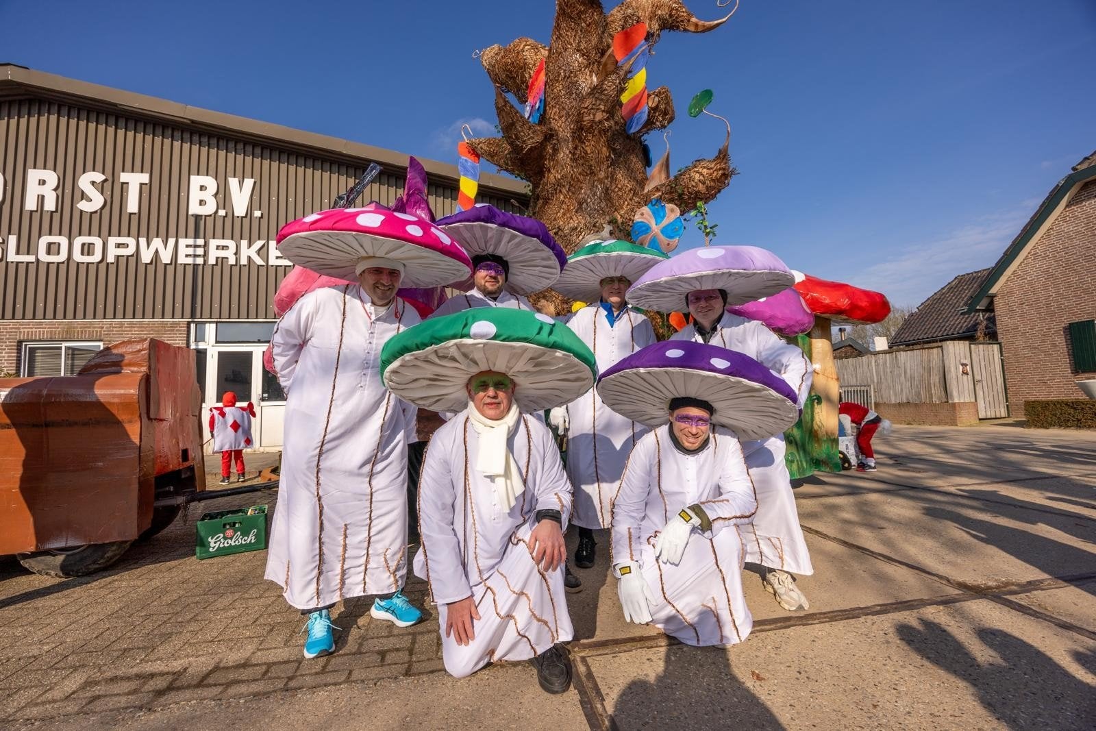 Carnavalskostuum Paddenstoel - Diverse Kleuren, Ophalen of Verzenden, Gebruikt, Kostuum, Carnaval