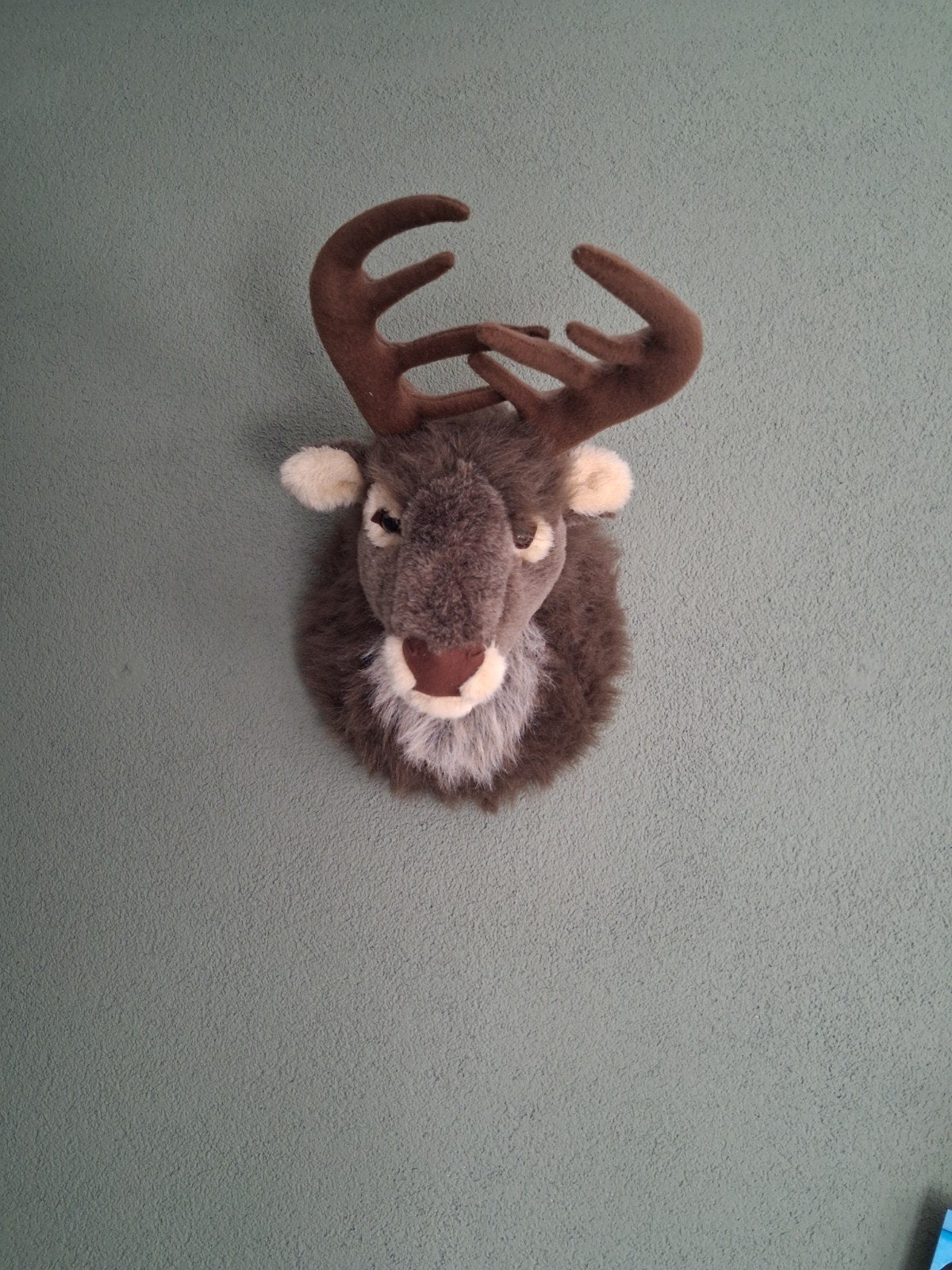 2 dierenkoppen, Ophalen of Verzenden, Zo goed als nieuw, Wanddecoratie
