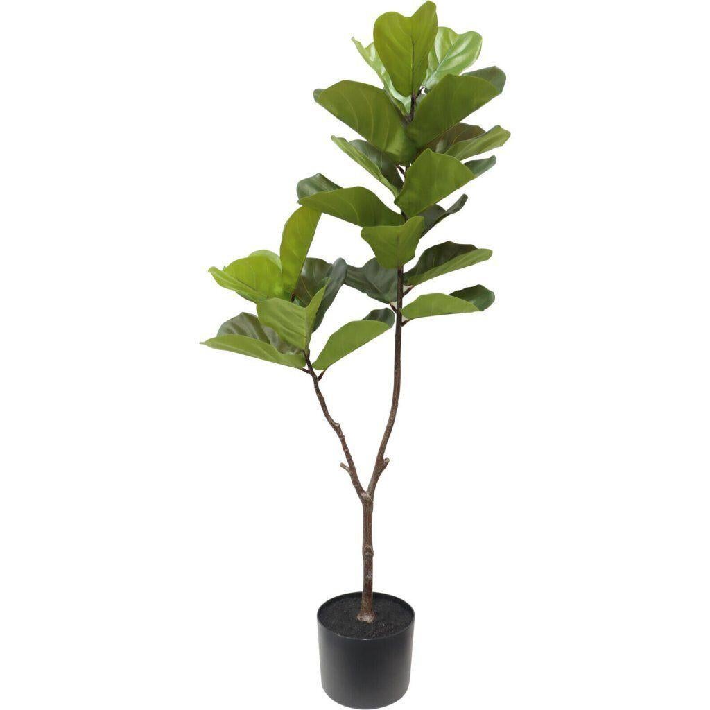 Kunstplant Ficus 60x155 cm Groen, Ophalen, Binnen, Home & Styling, Home & Styling
