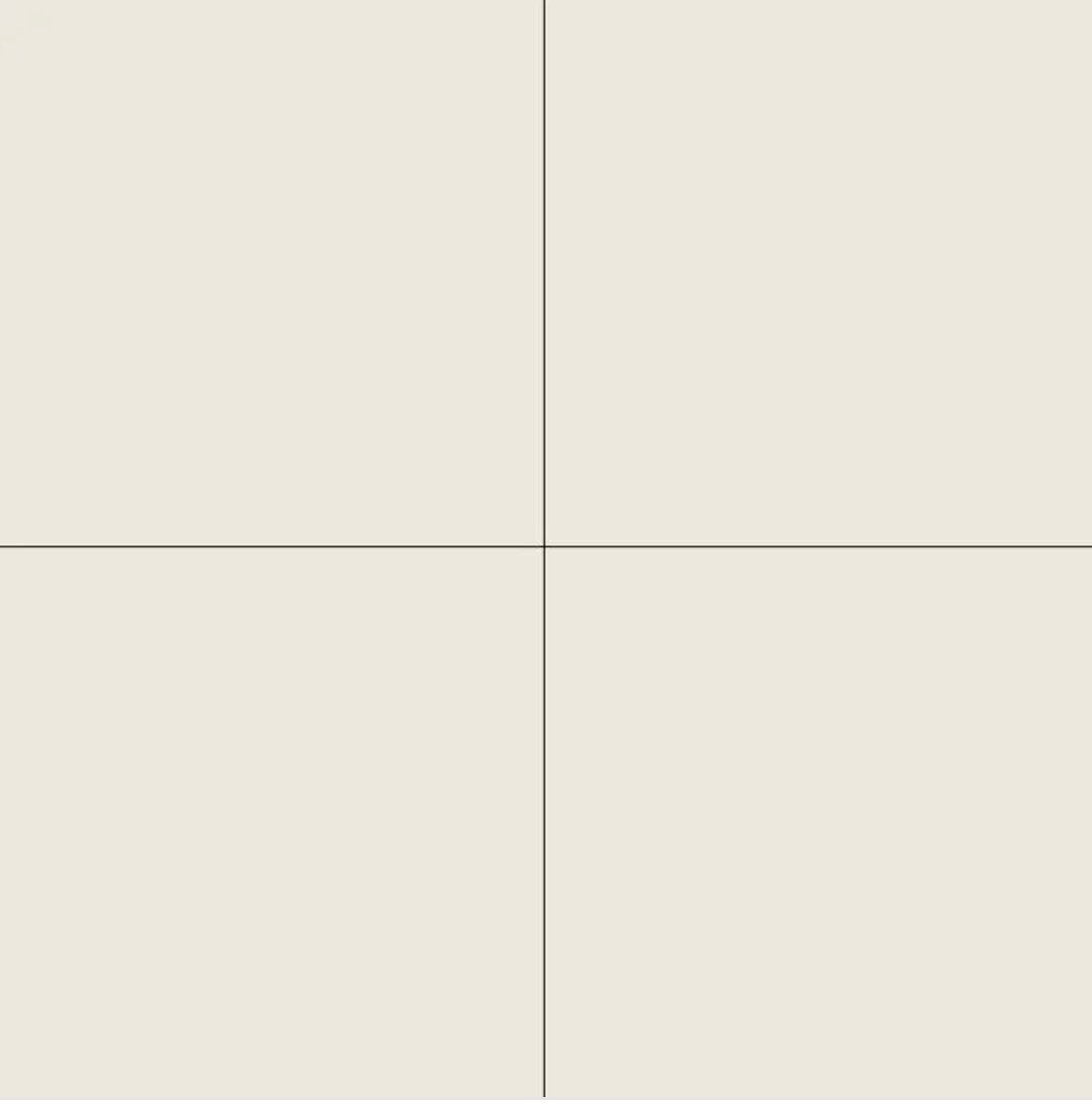Super blanc Winckelmans tegels 2 volle dozen 10x10, Doe-het-zelf en Verbouw, Tegels, Ophalen, Nieuw, Minder dan 20 cm, Minder dan 5 m²