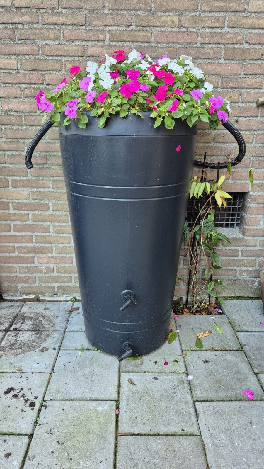 Regenton met bloembak, Ophalen, Rond, Kunststof, 60 cm of meer