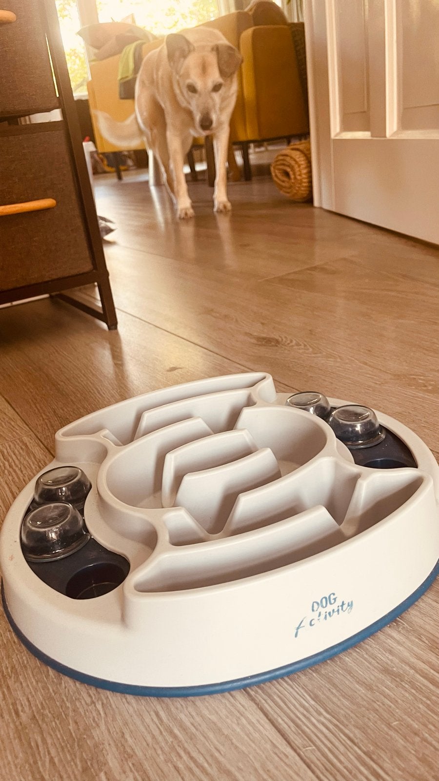Voederbak/ honden speeltje, Ophalen