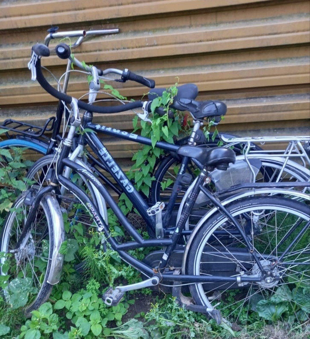 3X fietsen Sparta en Gazelle, Fietsen en Brommers, Fietsen | Dames | Damesfietsen, Ophalen, Sparta, 53 tot 56 cm, Velgrem