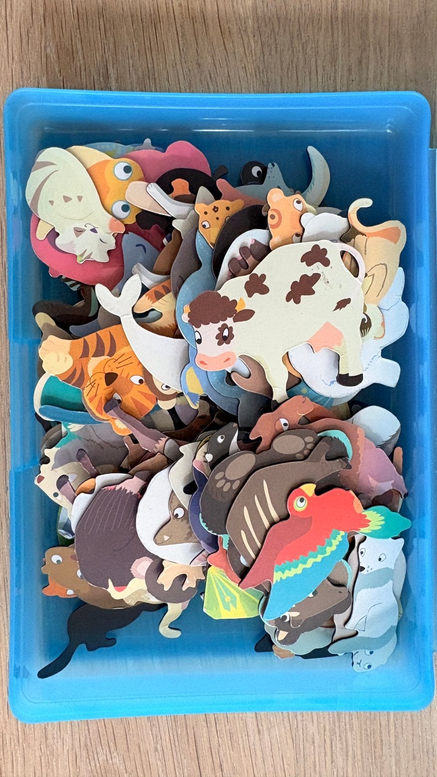 Janod dieren magneet stickers, Ophalen of Verzenden, Zo goed als nieuw, Ontdekken