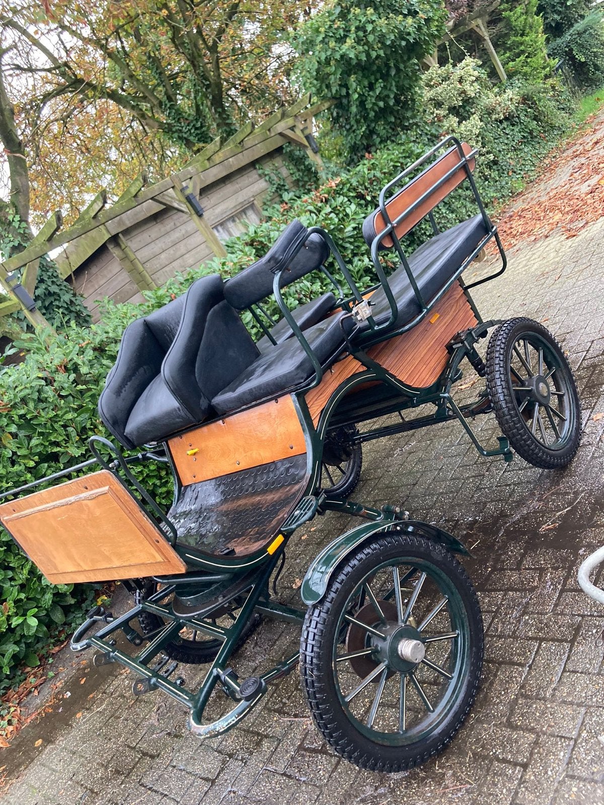 Wagonette, recreatiewagen, Dieren en Toebehoren, Rijtuigen en Koetsen, Gebruikt