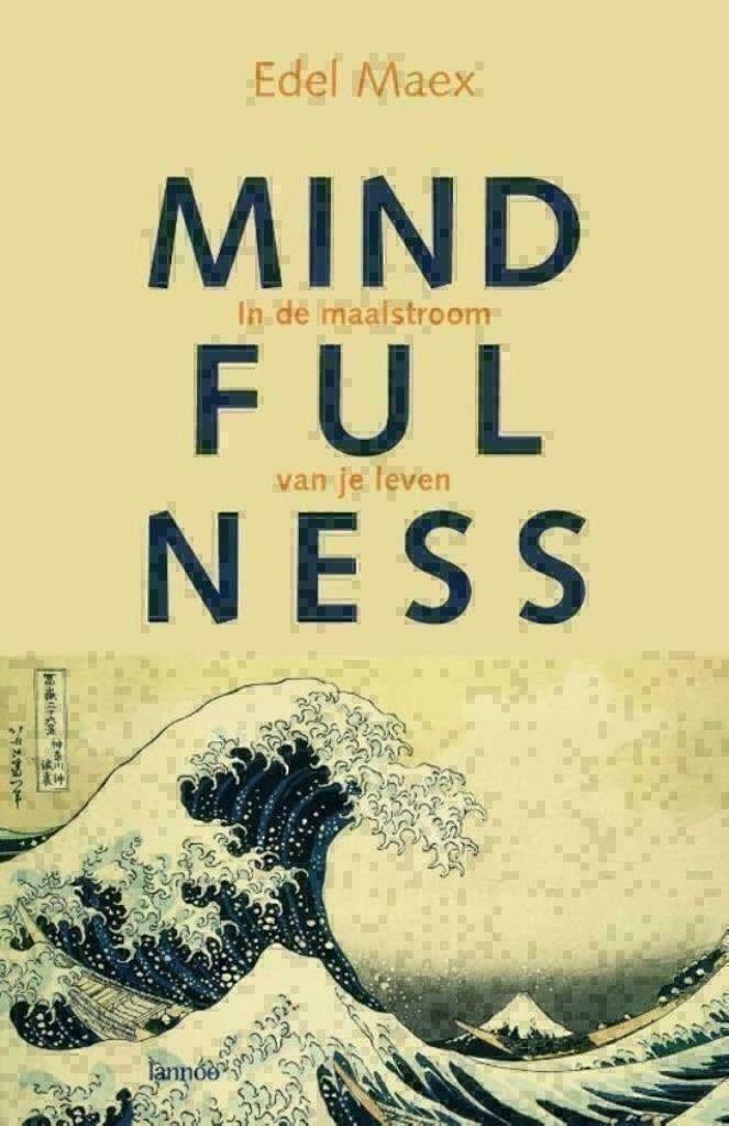 Mindfulness - Edel Maex, Boeken, Achtergrond en Informatie, Zo goed als nieuw, Overige onderwerpen, Edel Maex