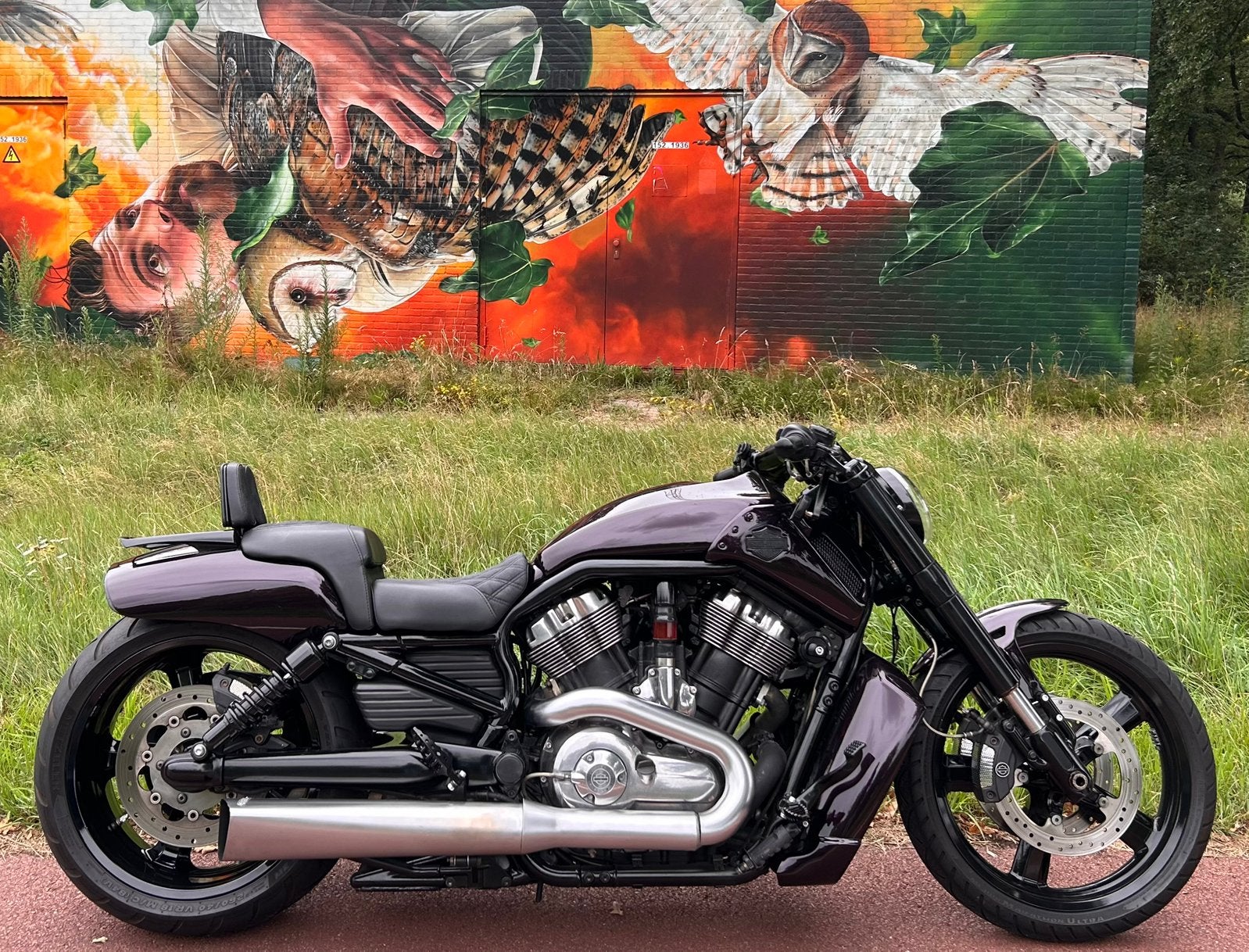 Dikke VRSCF V-Rod Muscle, Particulier, Chopper