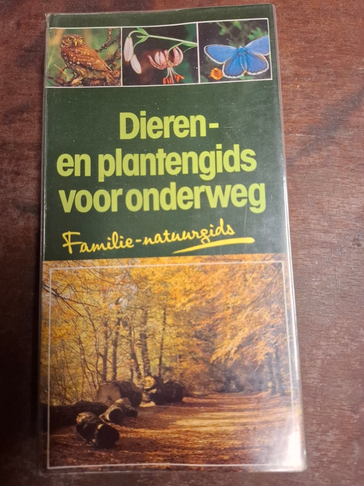 Dieren- en plantengids voor onderweg - Familie-natuurgids, Ophalen of Verzenden, Zo goed als nieuw, Natuur algemeen, Wilhelm en Dorothee Eisenreich, Ute E. Zimmer, Alfred Handel