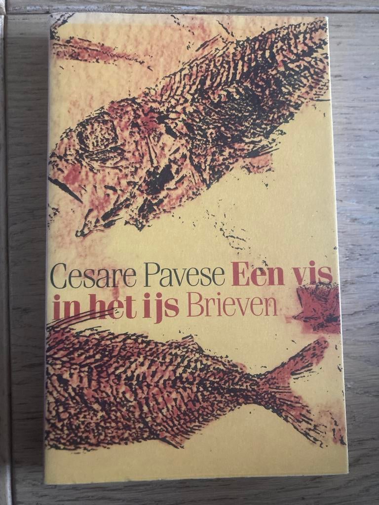 Een vis in het ijs / Brieven - Cesare Pavese (1988), Ophalen of Verzenden, Gelezen, Europa overig