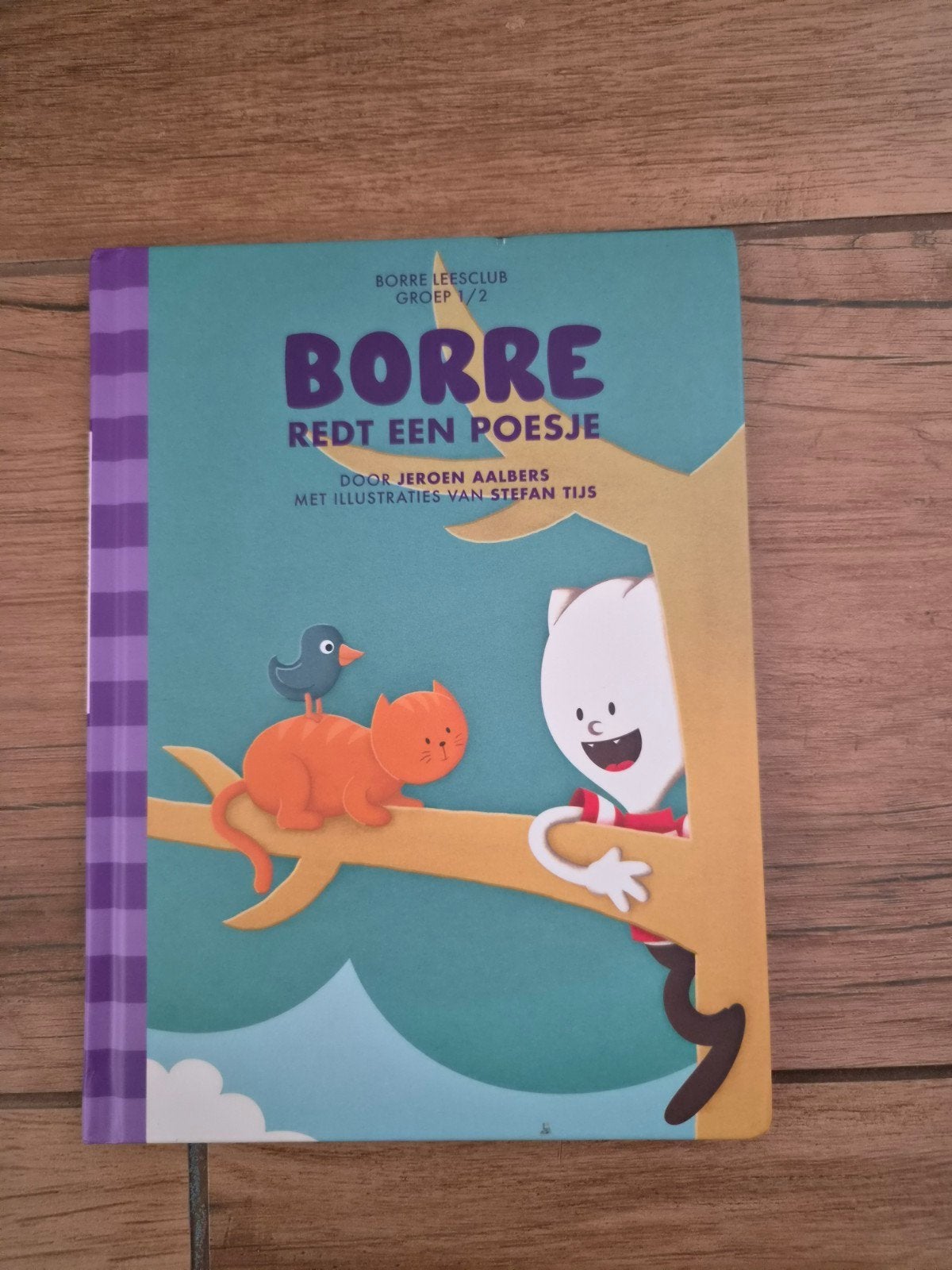 Borre Redt een Poesje - Borre Leesclub Groep 1/2, Boeken, Gelezen, 5 of 6 jaar, Fictie algemeen, Jongen of Meisje