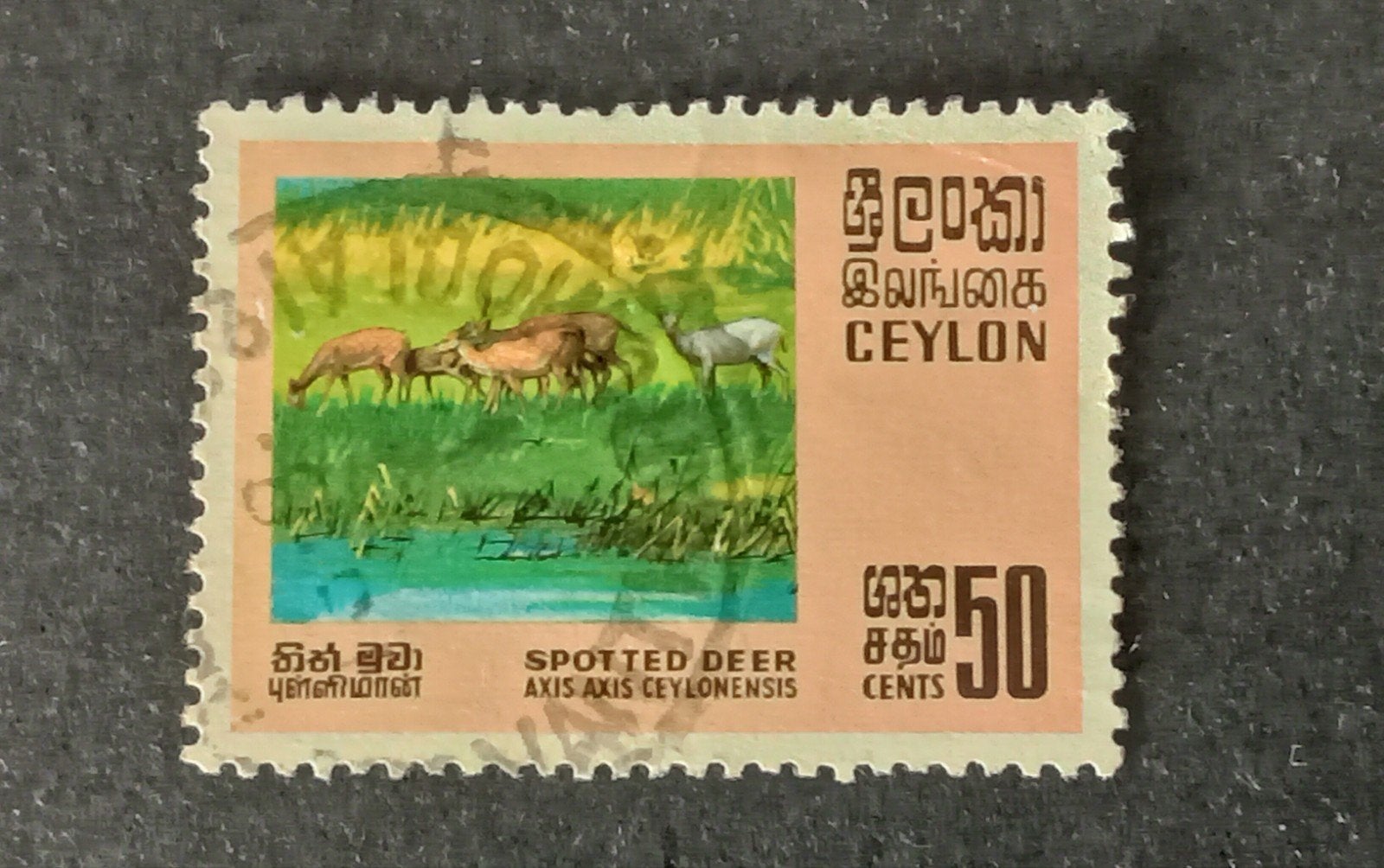 Sri Lanka Ceylon  - Gevlekt Hert, Verzenden, Gestempeld, Zuid-Azië