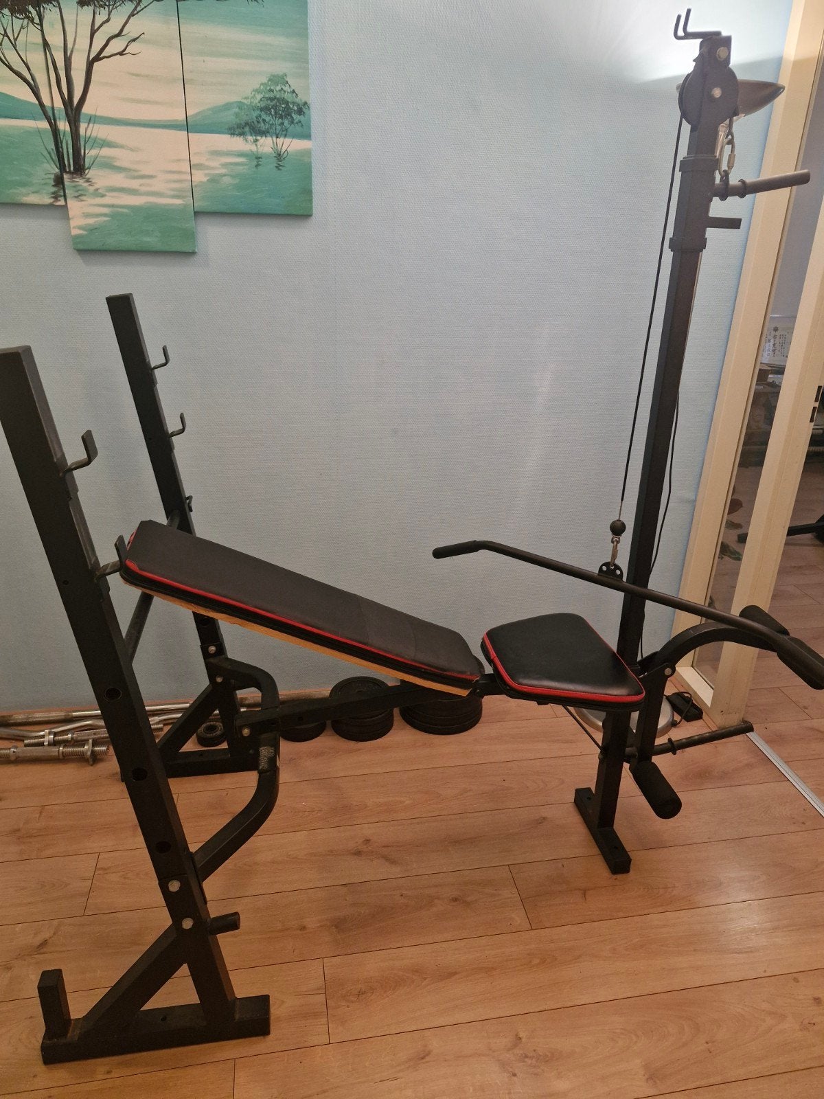 Te koop: Complete halterbank met gewichten en stangen, Sport en Fitness, Ophalen of Verzenden, Gebruikt