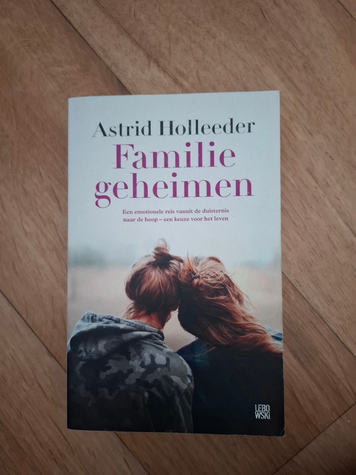 Familiegeheimen - Astrid Holleeder, Ophalen of Verzenden, Gelezen, Astrid Holleeder