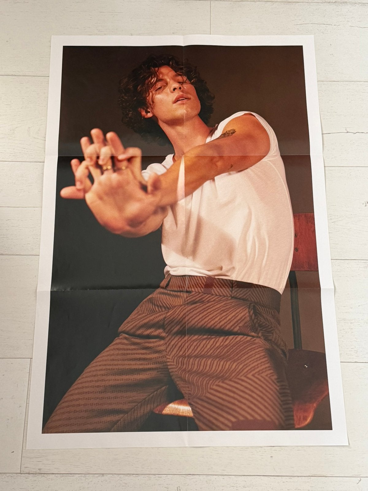 Shawn Mendes poster groot dubbelzijdig, Ophalen of Verzenden, Nieuw