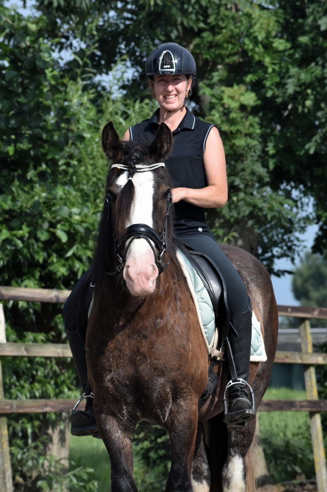 ** BETROUWBARE & TOP BRAVE GROTE TINKER RUIN **, Gechipt, Minder dan 160 cm, Ruin, Zadelmak