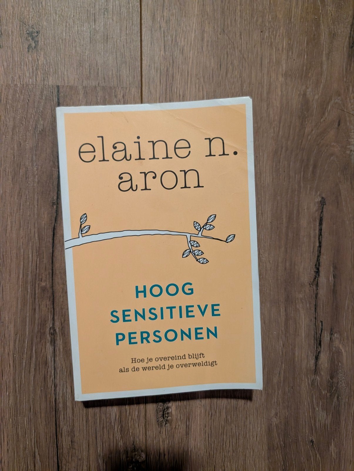 Hoog Sensitieve Personen - Elaine N. Aron, Ophalen of Verzenden, Gelezen, Klinische psychologie, Elaine N. Aron