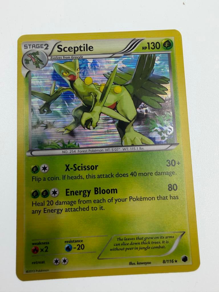 Pokémon Kaart Sceptile 8/116 Foil Holo (2013), Ophalen of Verzenden, Gebruikt, Losse kaart, Foil