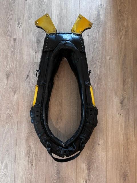 paardenhaam, Antiek en Kunst, Ophalen, Overige vormen, Minder dan 50 cm, Minder dan 100 cm