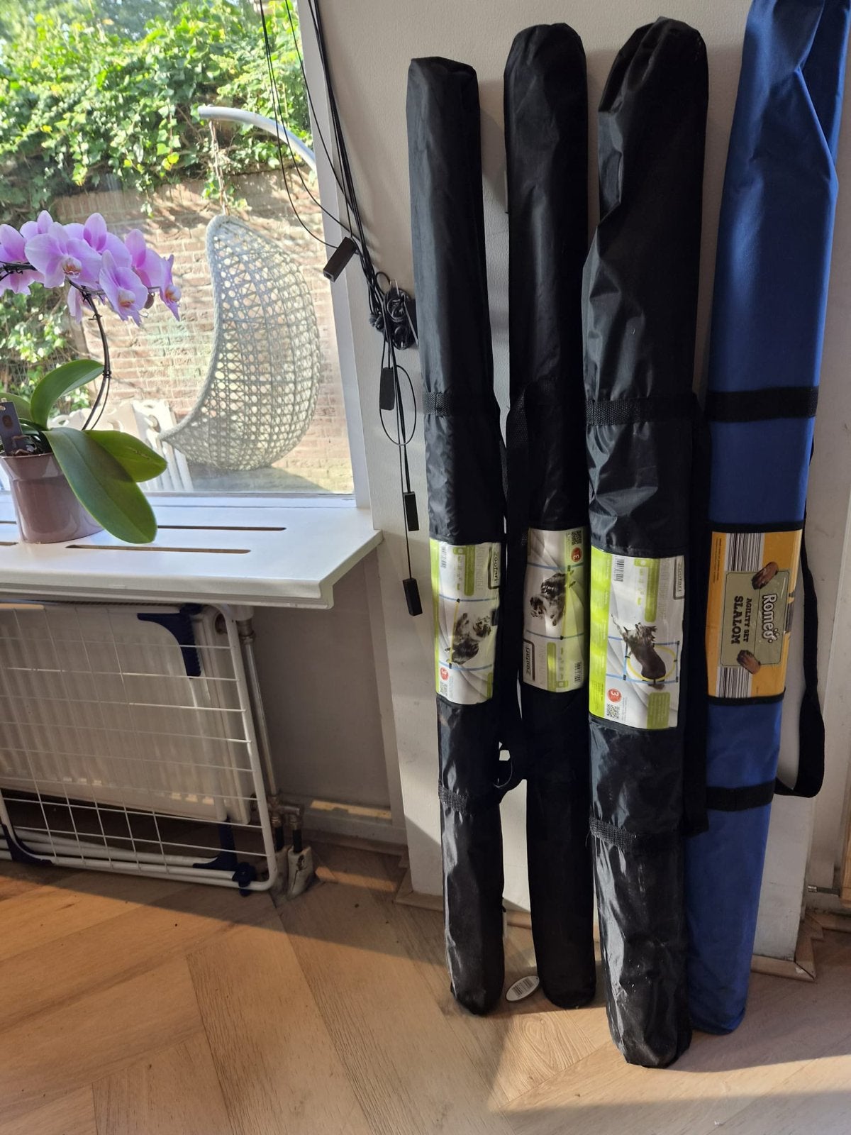 Honden training agility, Dieren en Toebehoren, Ophalen, Zo goed als nieuw