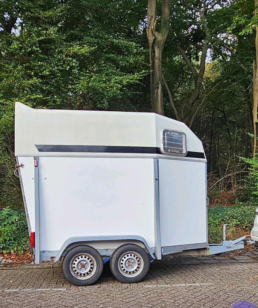 2-paards trailer - Goede staat, Ophalen of Verzenden, Gebruikt