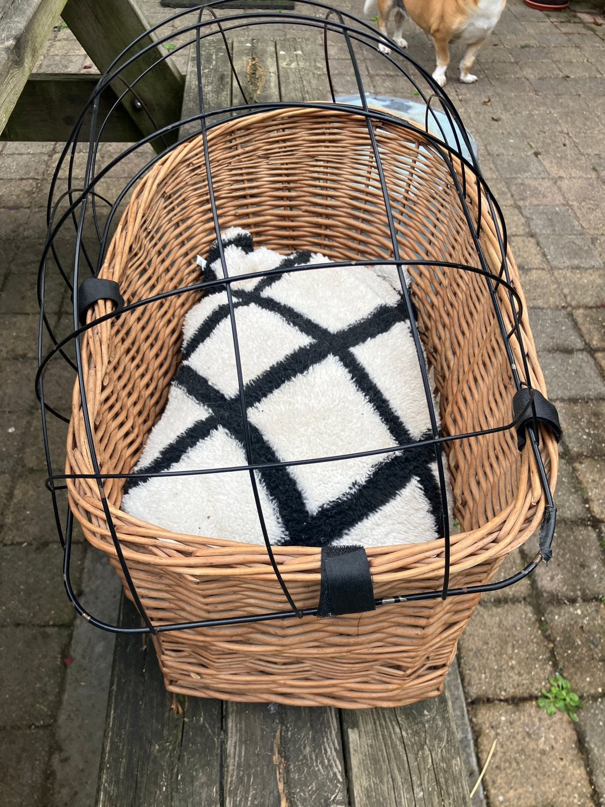 Hondenfietsmand met korf, Ophalen, Zo goed als nieuw