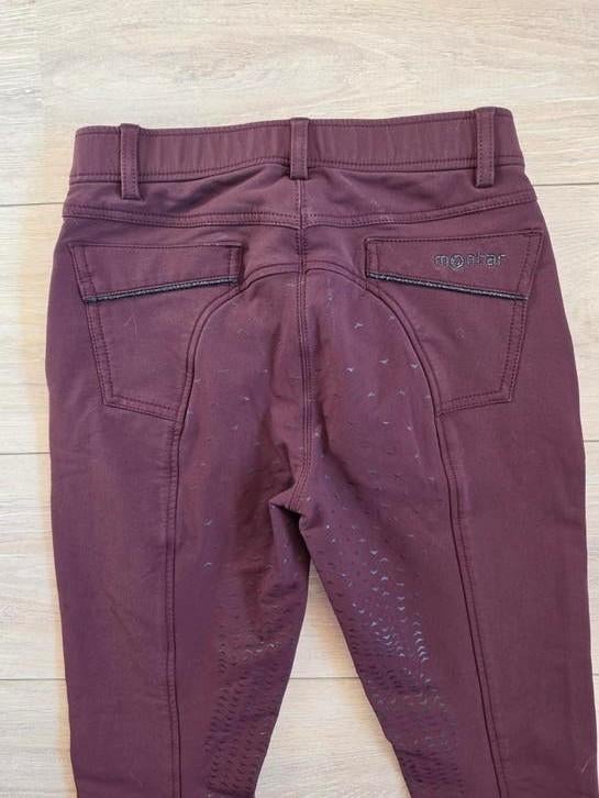 Paardrijbroek Montar Pruim prune paars wijnrood maat 36, Dressuur, Zo goed als nieuw, Dames, Onderkleding