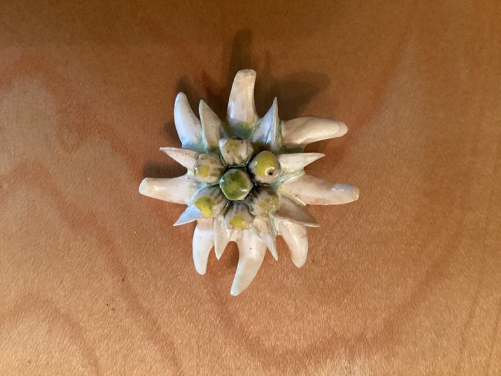 Broche 2x vintage, jaren 50 ketting, Ophalen of Verzenden, Overige materialen, Broche