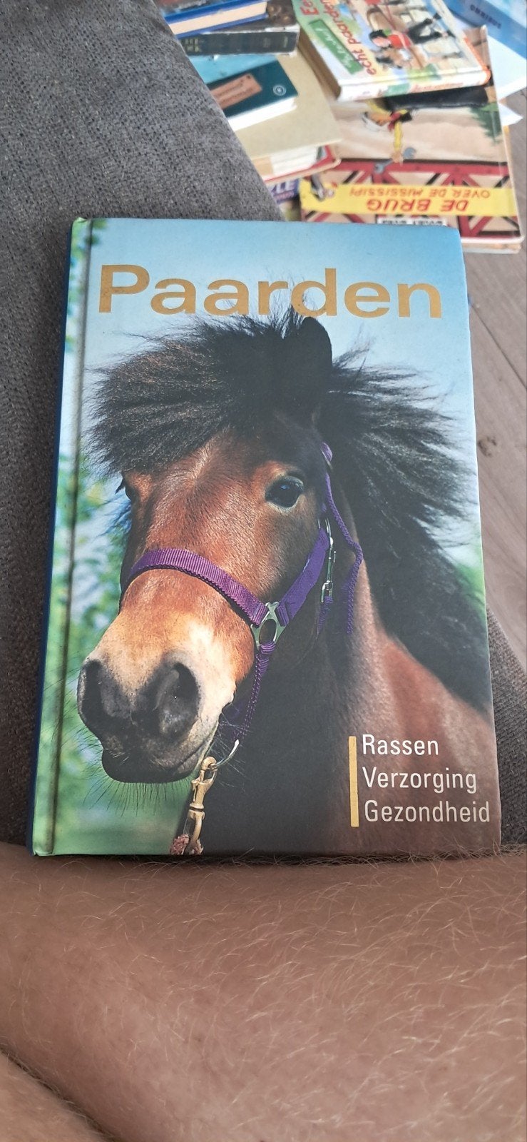 Paarden: Rassen, Verzorging, Gezondheid - Boek, Ophalen of Verzenden, Zo goed als nieuw, Paarden of Pony's, Yolanda Heersma