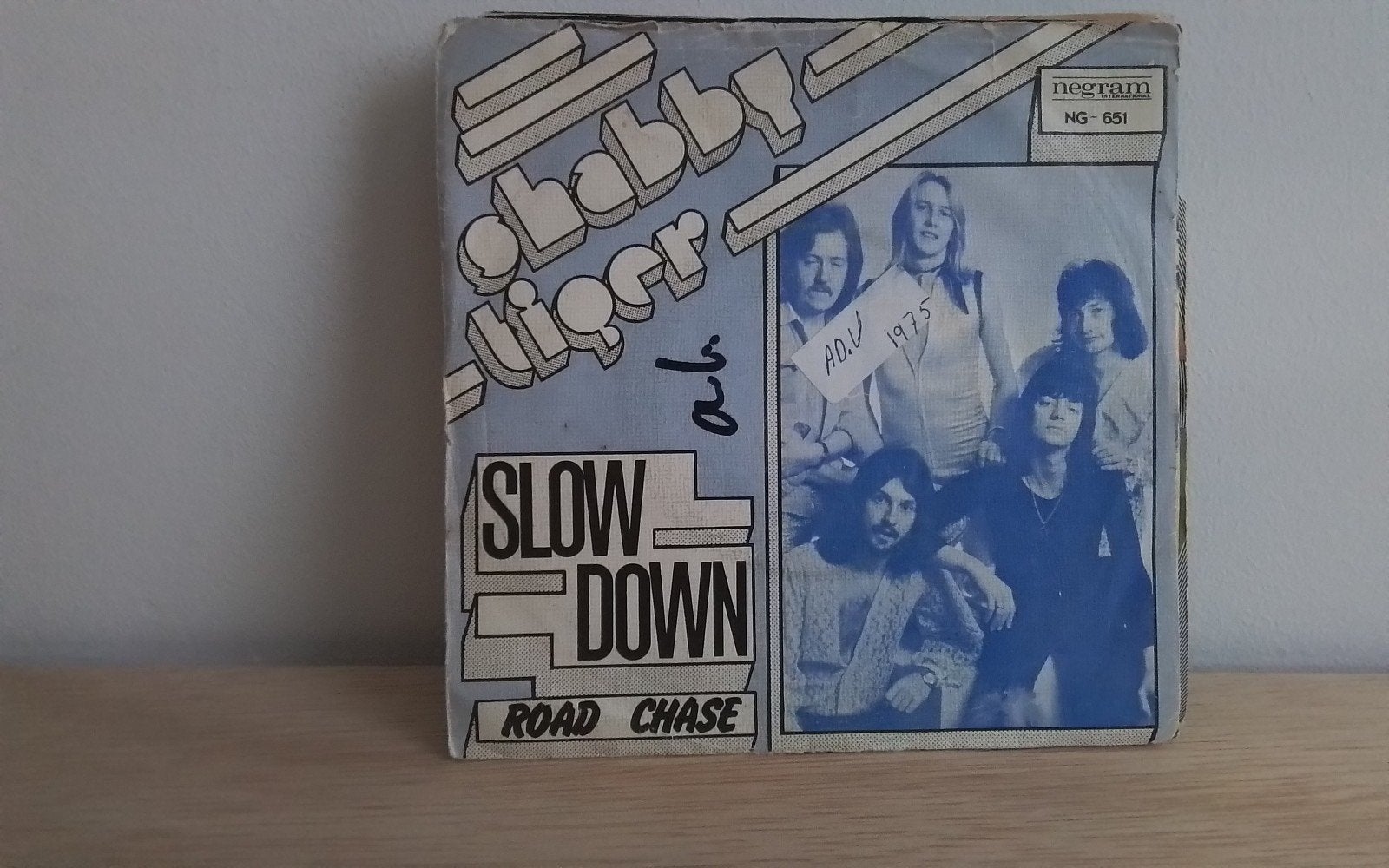 Shabby Tiger - slow down, Ophalen of Verzenden, Gebruikt, Pop