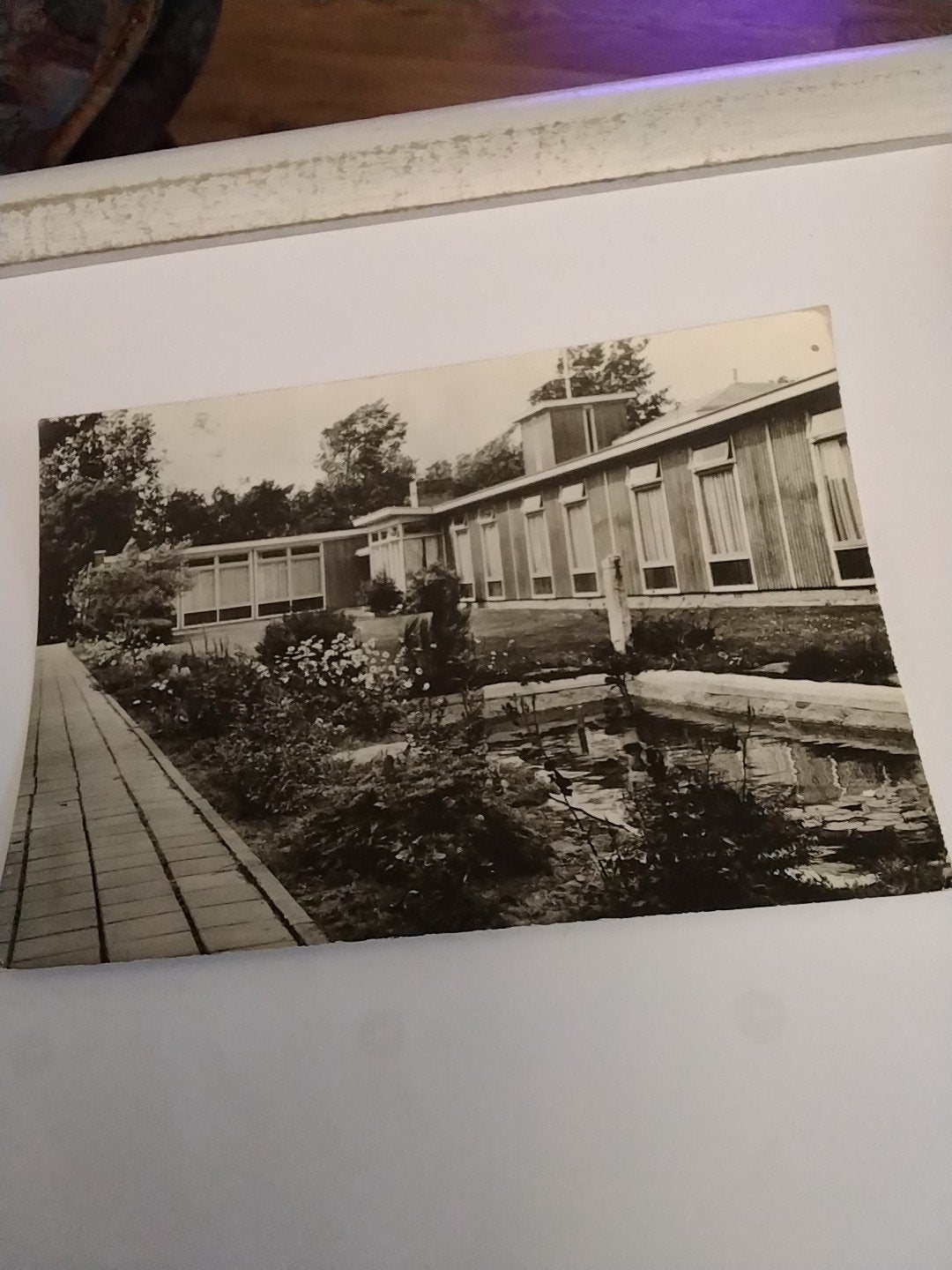 Ansichtkaart Vinea Domini Witmarsum (Fr.) - Ongelopen, Ophalen of Verzenden, 1960 tot 1980, Ongelopen, Limburg